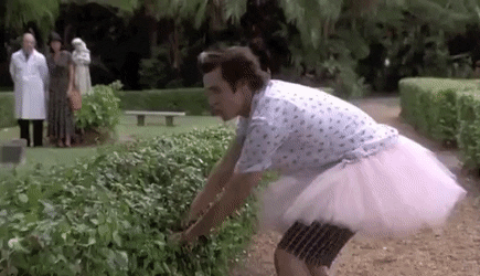 572C8FDB-C670-425A-8C41-9628C417B0F7.gif