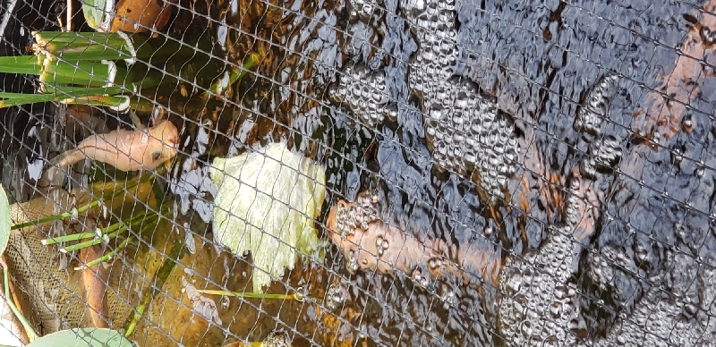 20190924_125639_resize_96.jpg