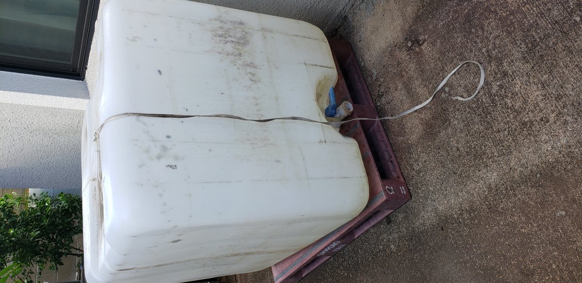 20190930_144905.jpg