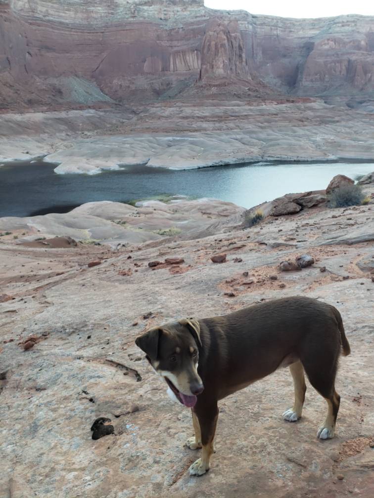 20191001_074335.jpg