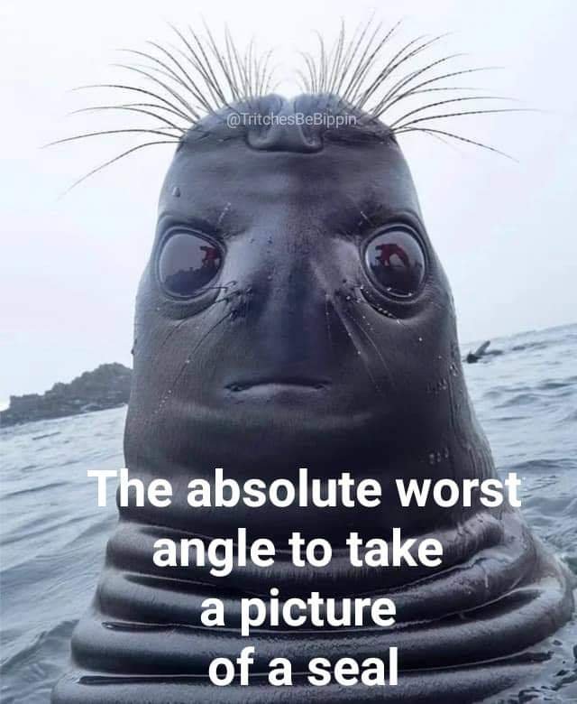27464.jpg