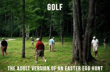 4.gif