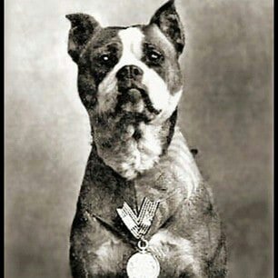 stubby2.jpeg