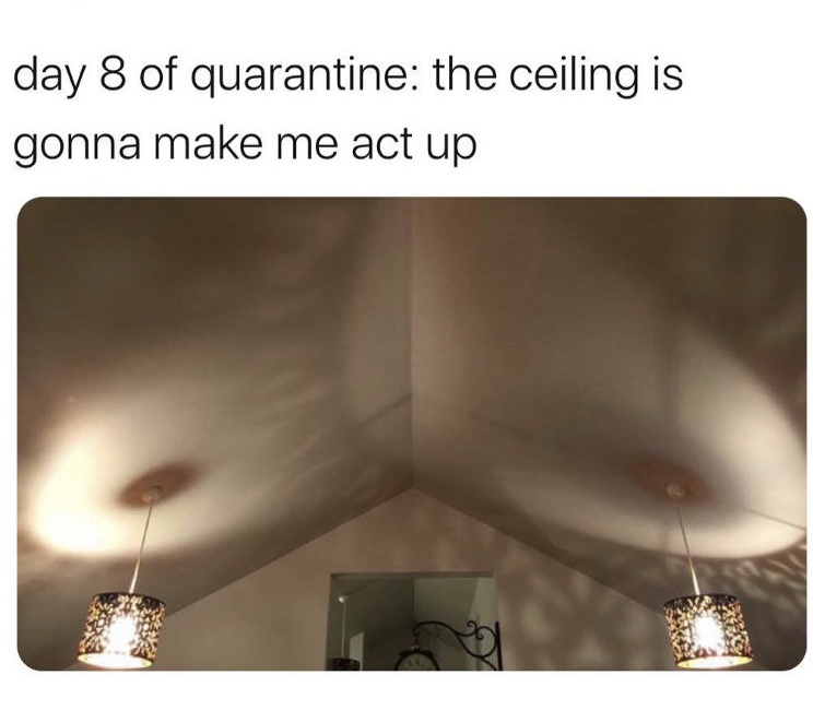 333E30E9-13DD-4747-87B1-D2AD49C3841A.jpeg