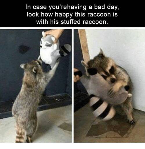 in-case-yourehaving-a-bad-day-look-how-happy-this-25371238.jpeg