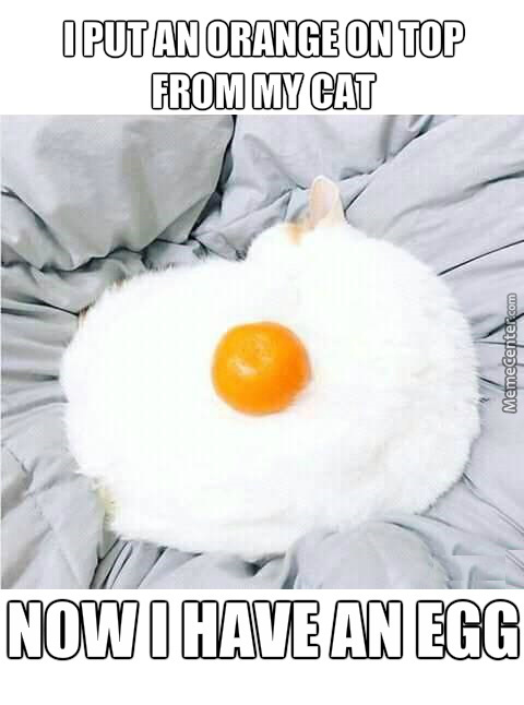 CB3955B1-3C8D-4E35-9A9A-90CE3E846B6F.jpeg