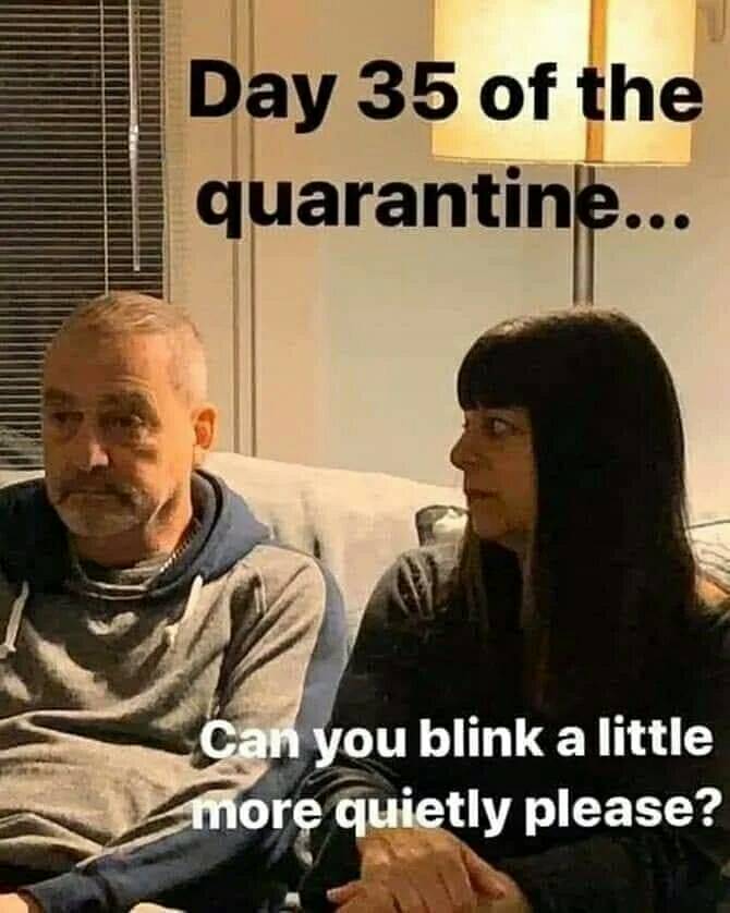 9343460012175799186184885766022534369640448n-LBeKrM-1.jpeg