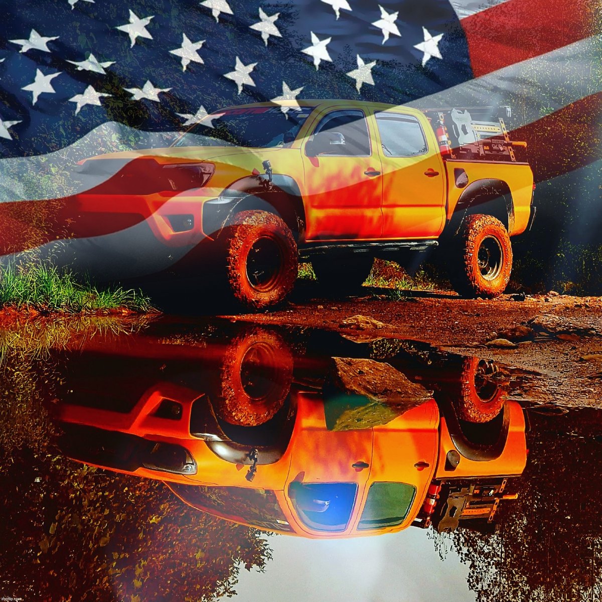 479457.jpg