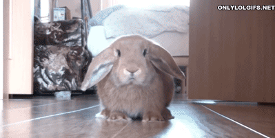 024C7106-0EF2-4B1F-AC05-39D26D04918F.gif