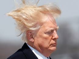014175AD-A91D-41F0-994F-0FBC4D802744.jpeg