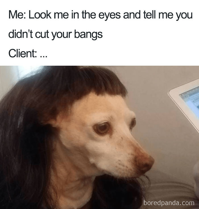 funny-hairdresser-memes-39-5b8954566114e__700.jpg