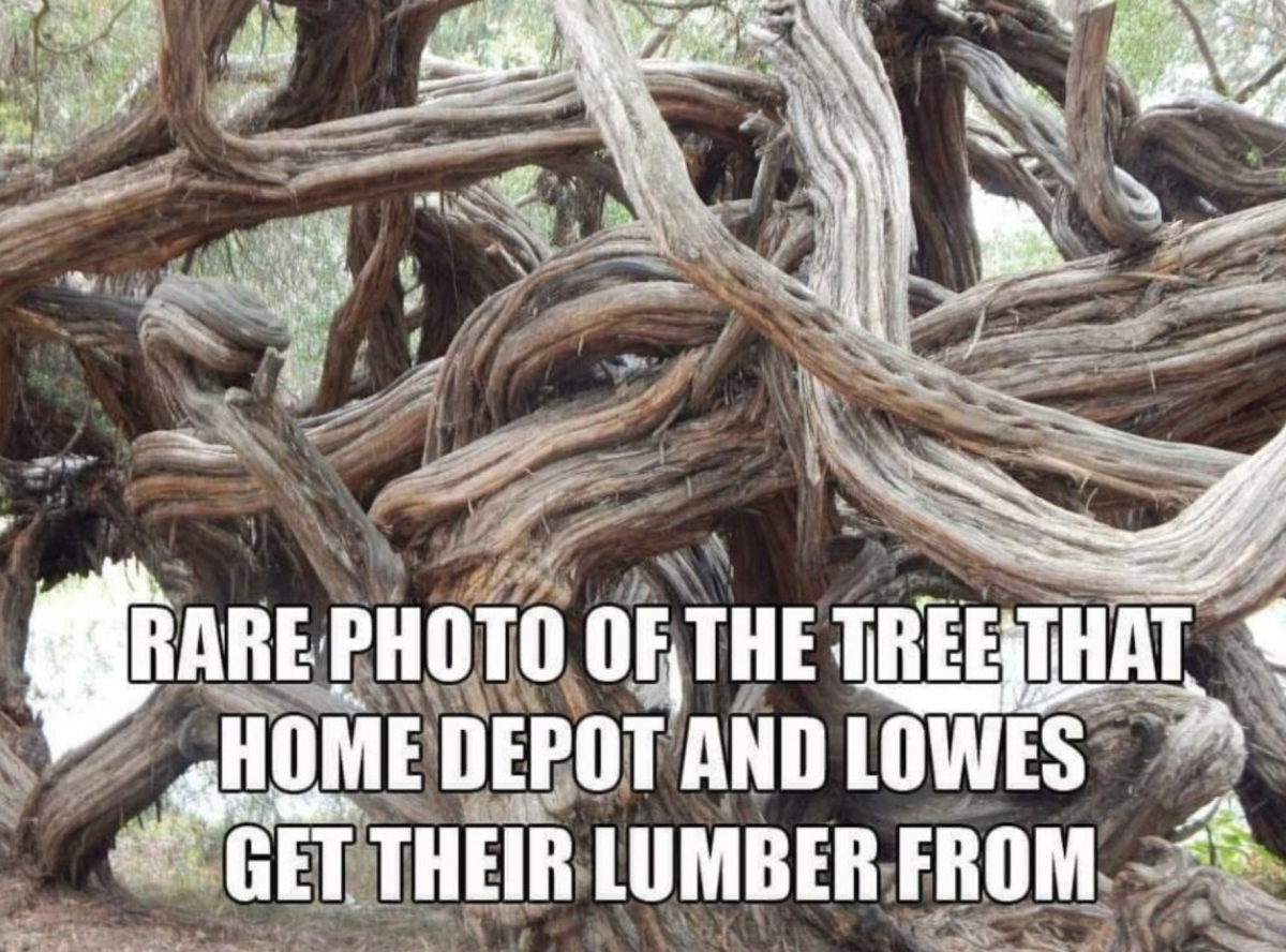 Lumber for Home Depot and Lowes.png