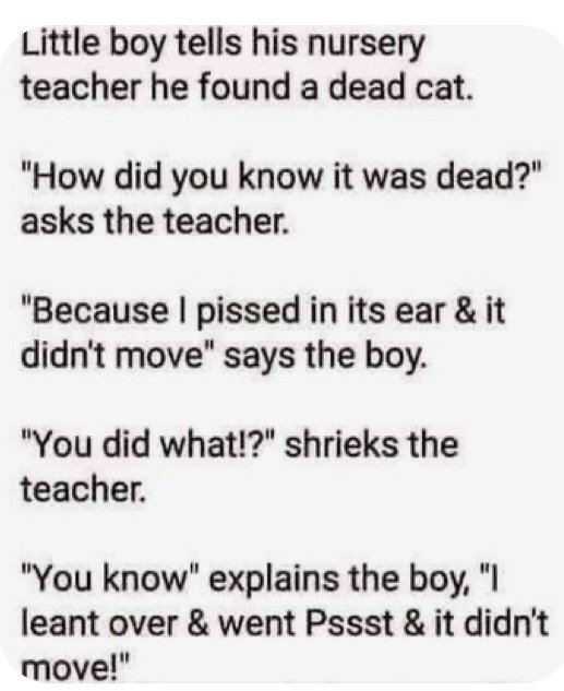 F51B513F-A490-46C2-B165-E782C55506E6.jpeg