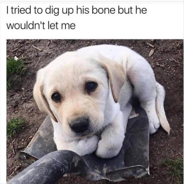 C5DB79F7-DAB7-47C3-A0C8-DF7B0A6F9709.jpeg