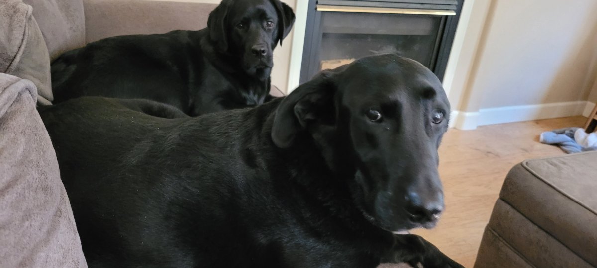 20220607_121426.jpg