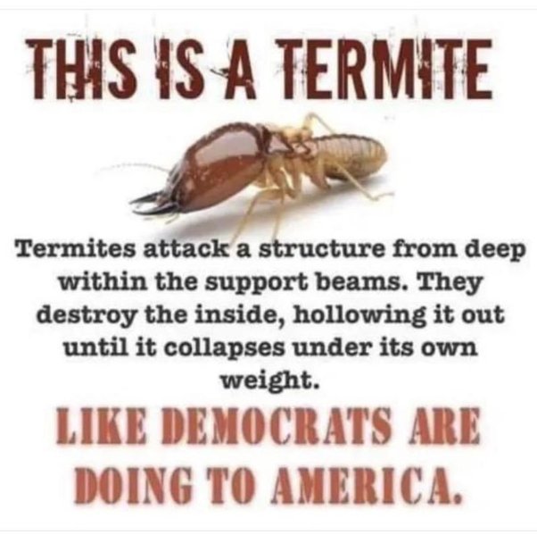 8C5D4D51-C65F-4E3A-84F0-8E36253AC2E5.jpeg