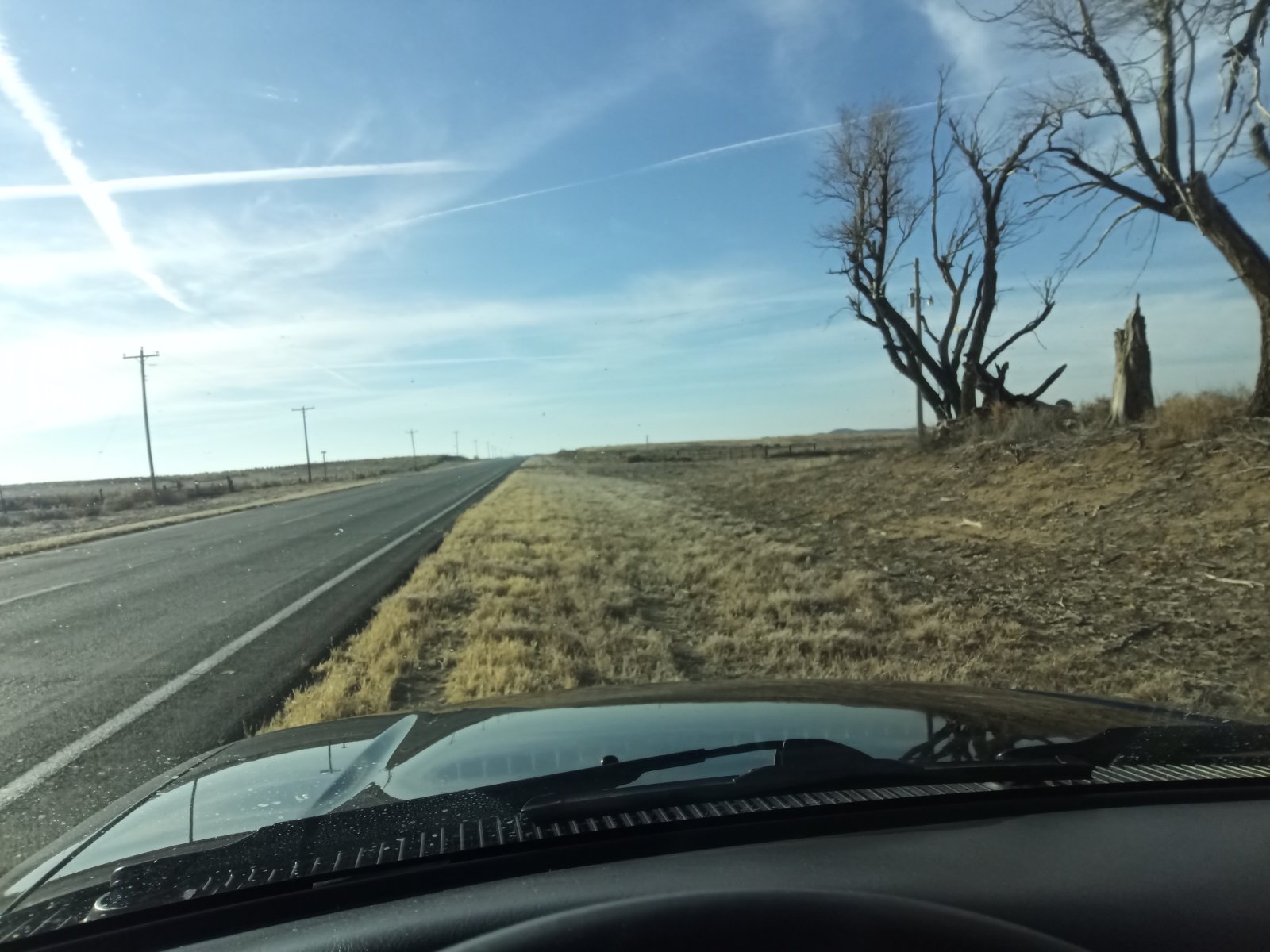 IMG_20230123_094643_789.jpg