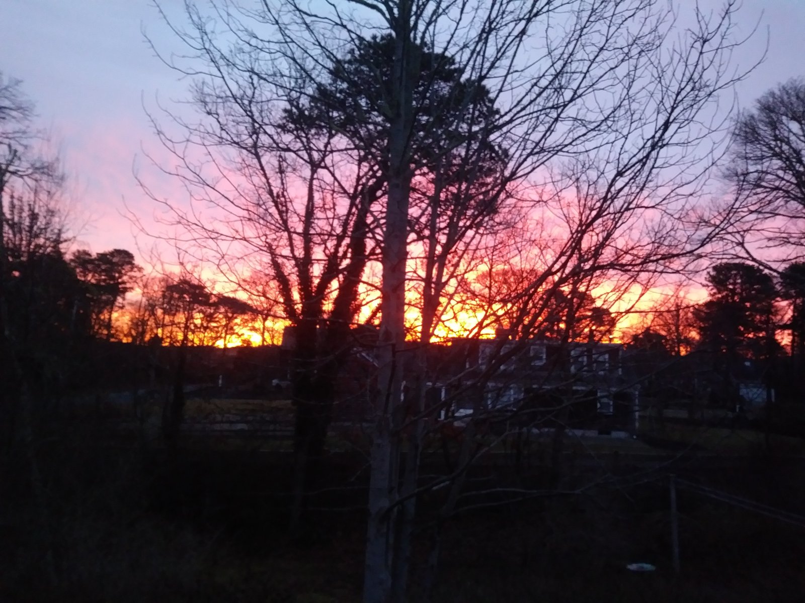 20230215_062604_Burst03.jpg