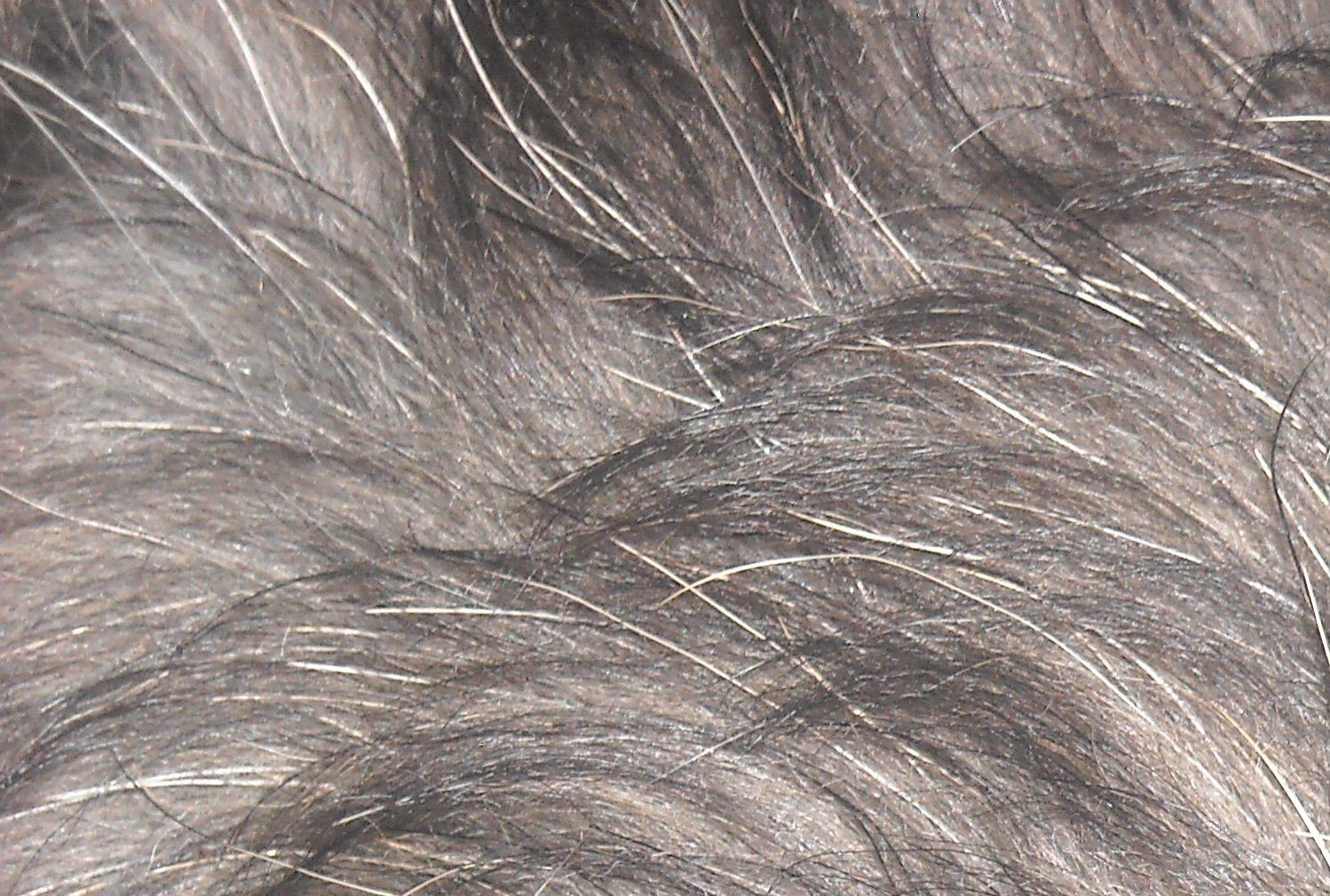 DSCN0014.JPG