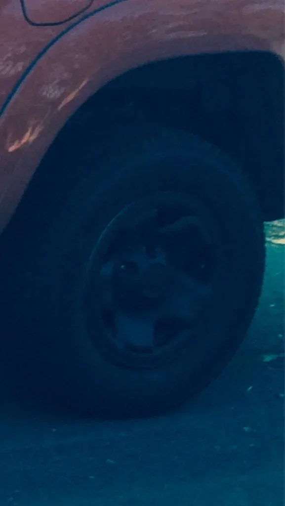 ImageUploadedByTaco Forum1420426424.714034.webp