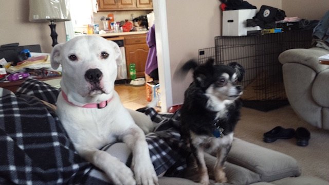 20150405_092848.jpeg