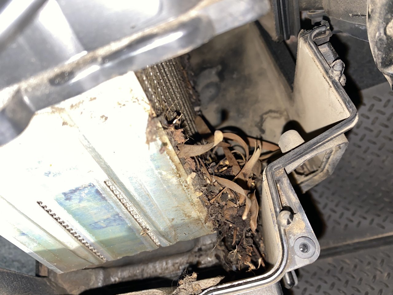 evaporator sediment Taco online.jpg