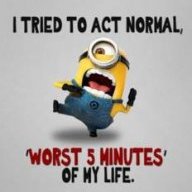 1711406795333.png