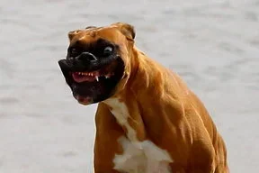 1757403133867.webp