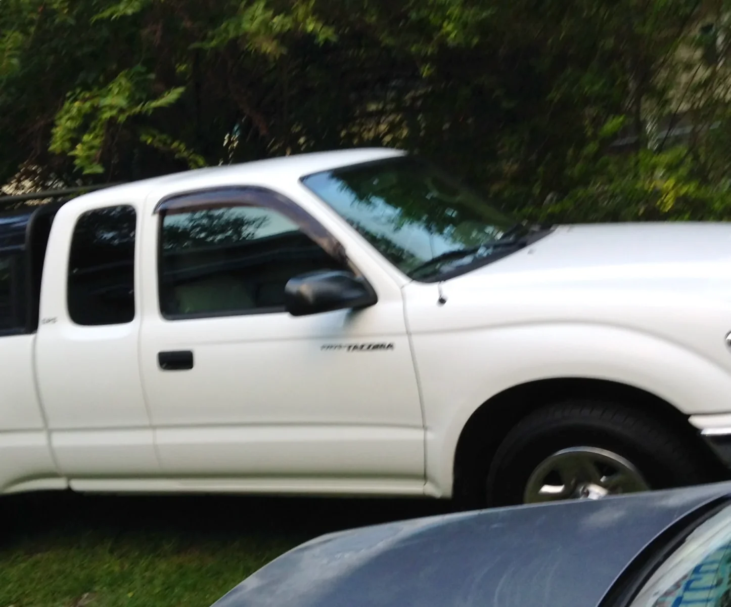 image.webp