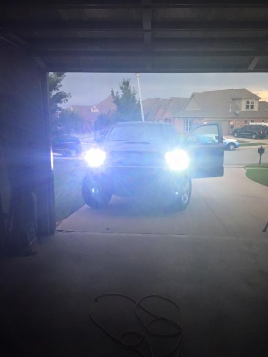 taco lights 3.jpg taco lights 3.jpg