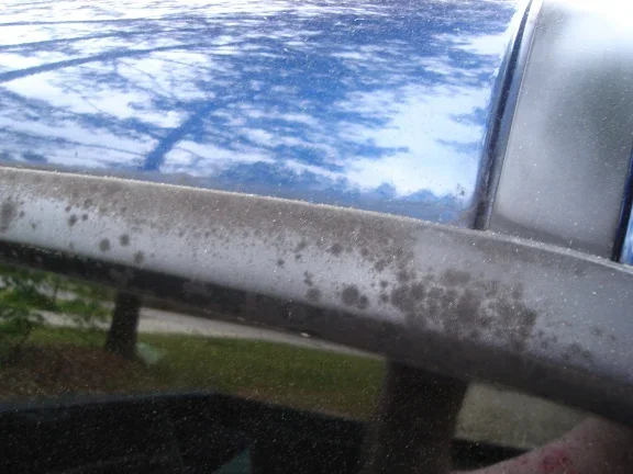 Back Window Seal 001.webp