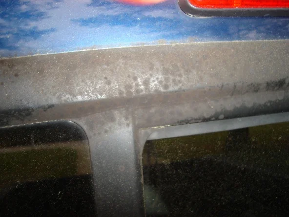 Back Window Seal 002.webp