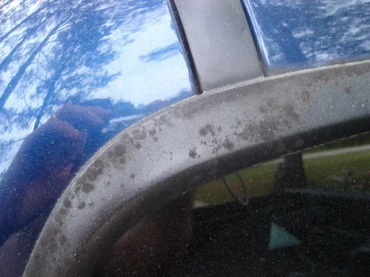 Back Window Seal 003.webp