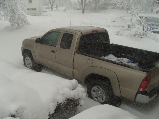 S1050294.jpg