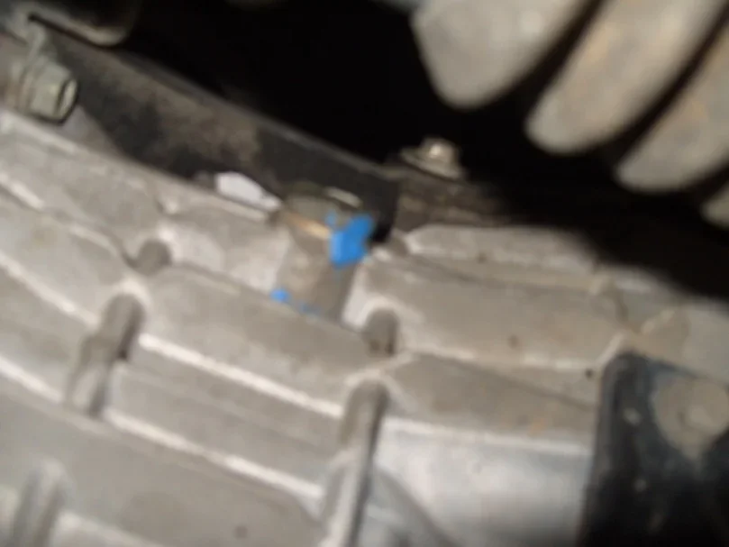 S1050394.webp