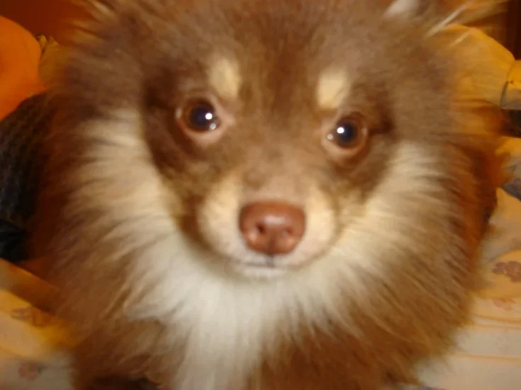 DSC01325.webp