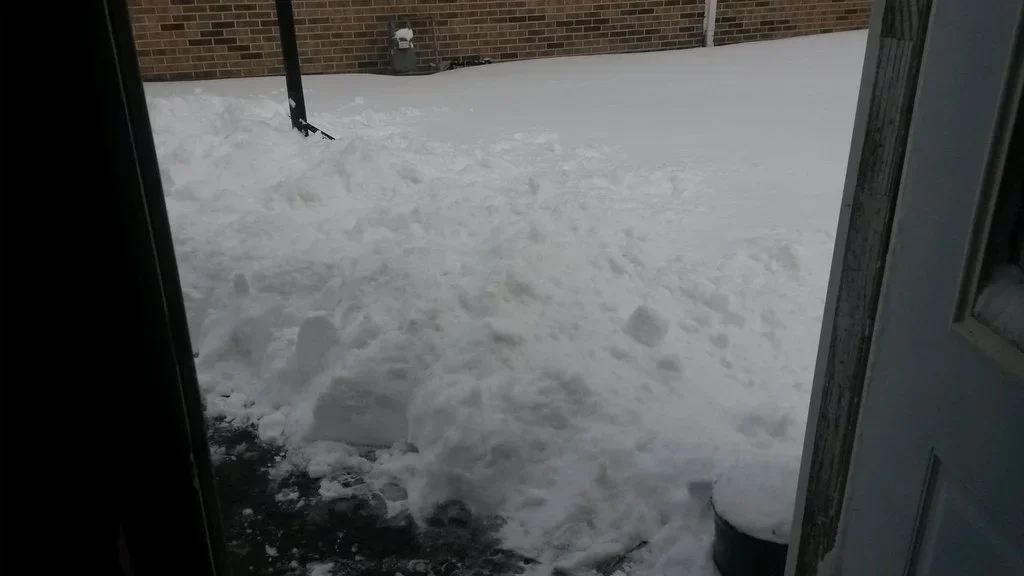 foot of snow 2018a.webp