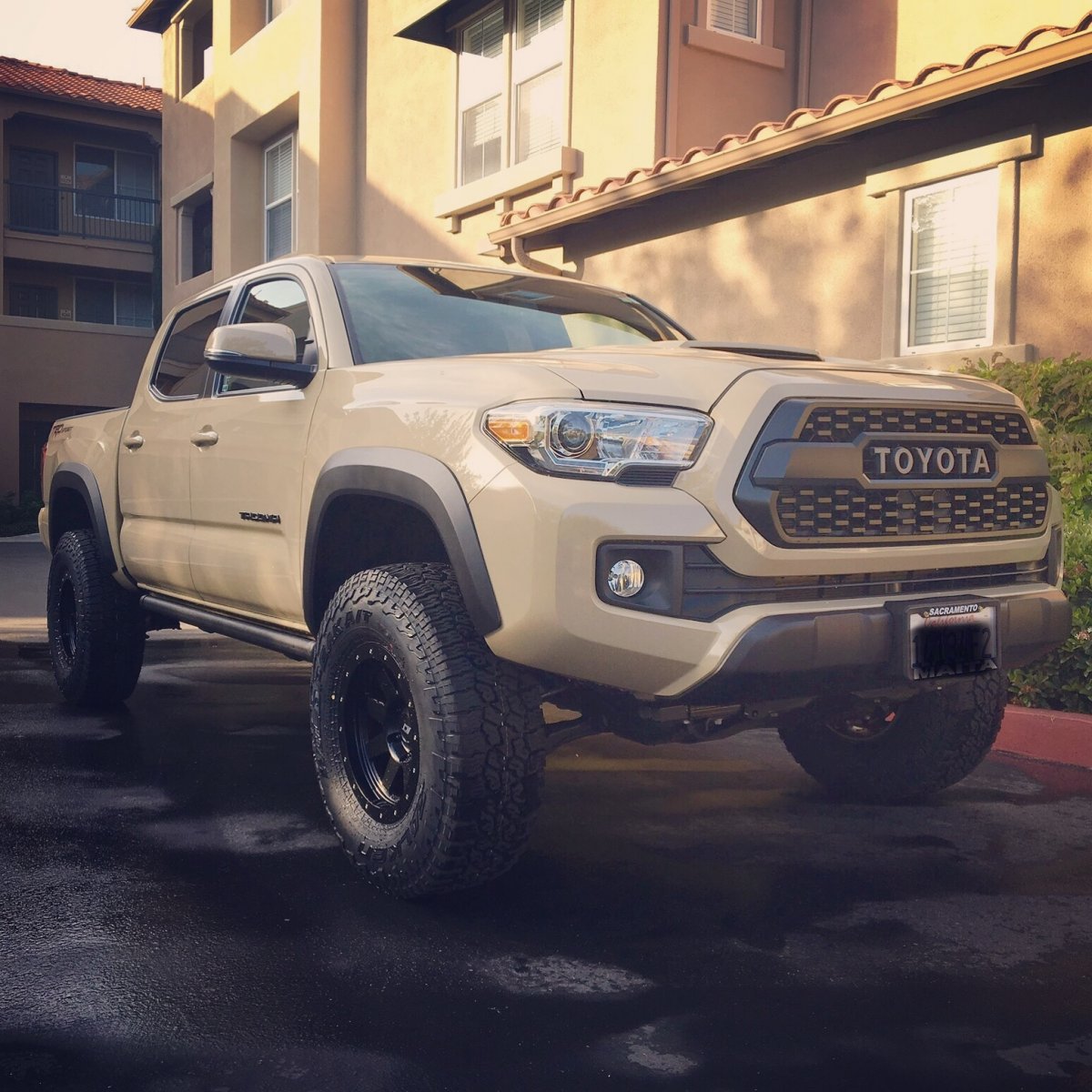 Escort Tacoma Wa