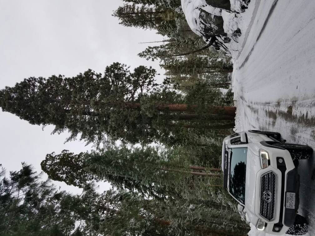 20190115_094347.jpeg