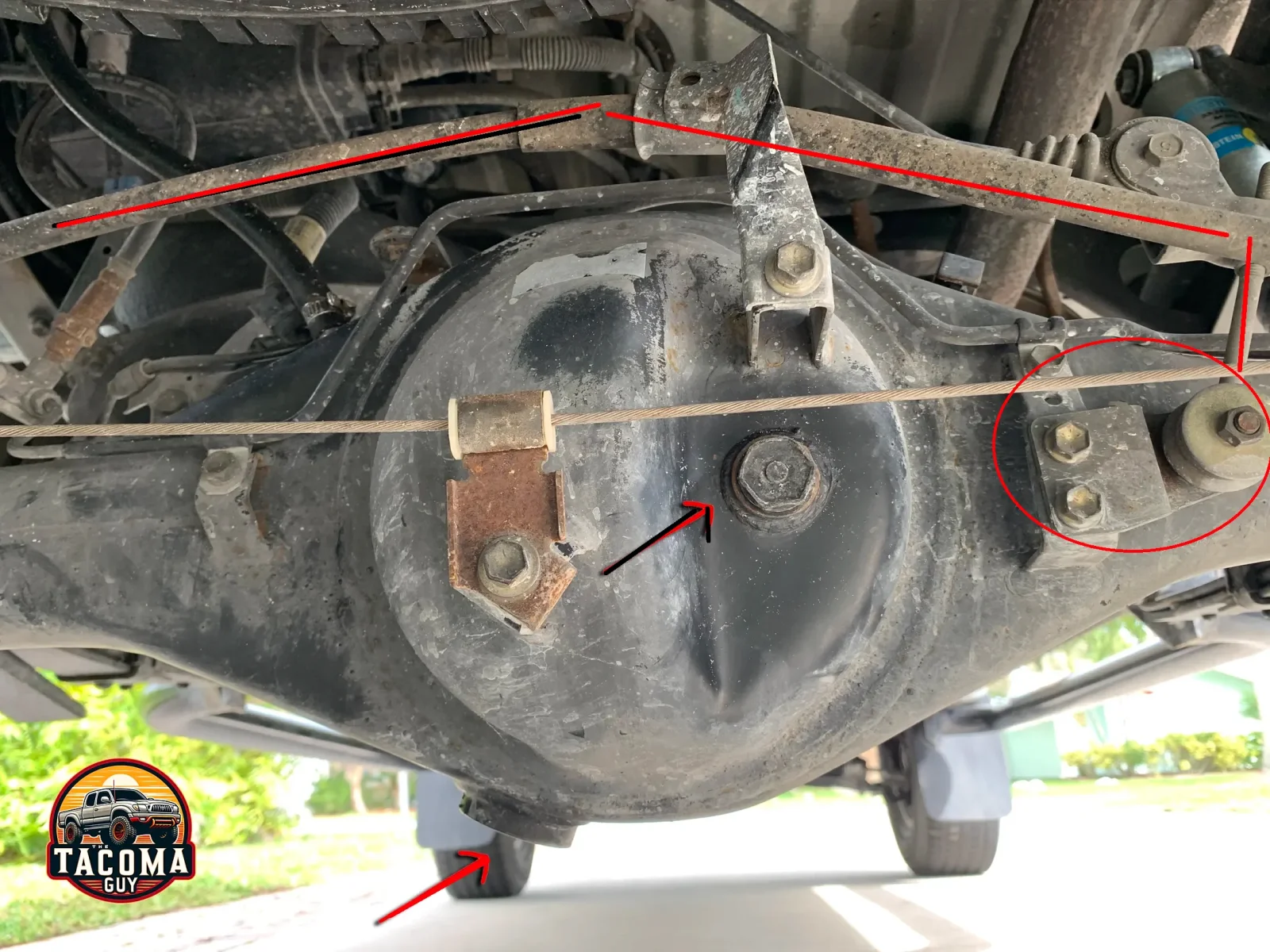 rear-diff.webp