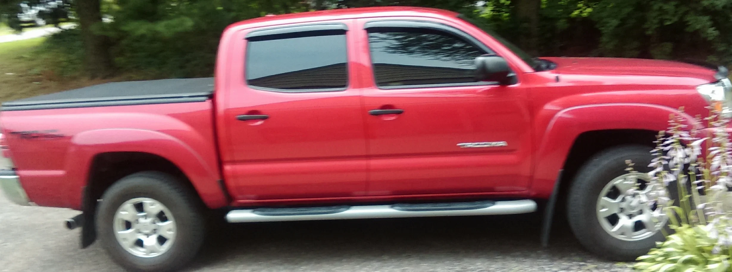 IMAG1339_1.webp
