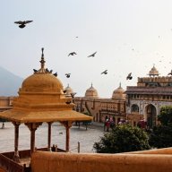 incredibleindiarajasthant