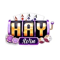 haywin88online
