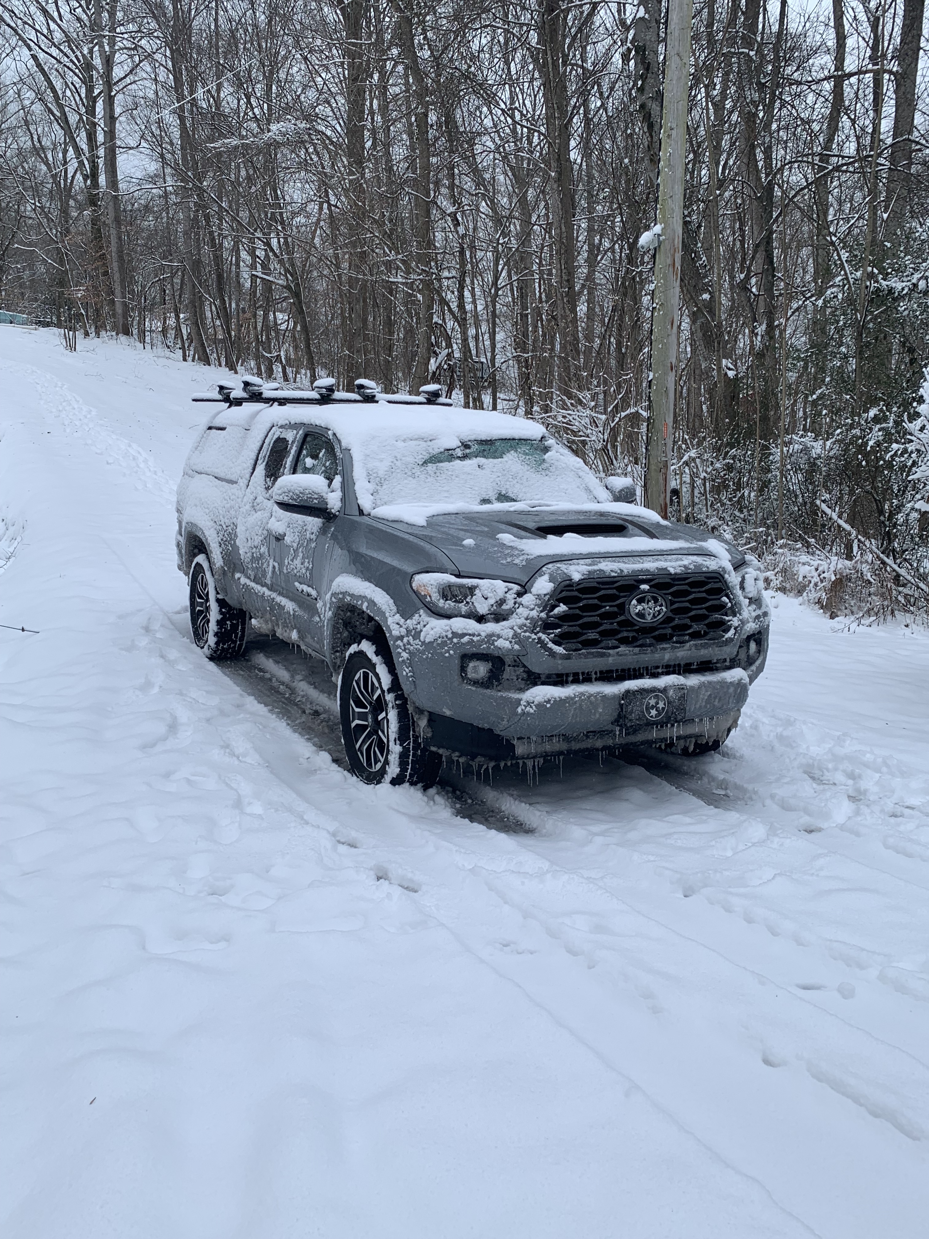 TN Taco in snow